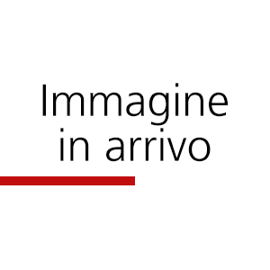 Immagine in arrivo